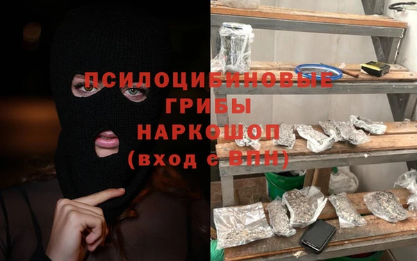 молекула духа Белоозёрский