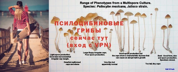 а пвп мука Зеленокумск