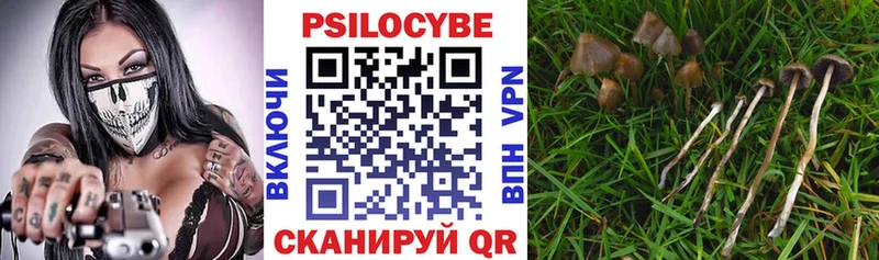 кракен зеркало  Коркино  Галлюциногенные грибы ЛСД  купить наркоту 