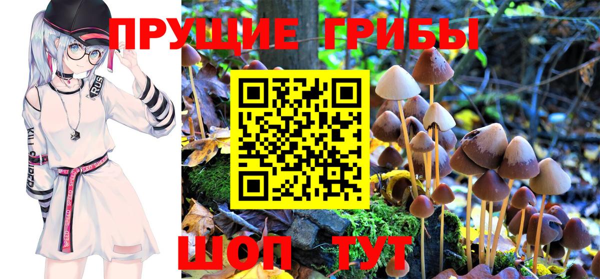 Псилоцибиновые грибы Magic Shrooms Коркино