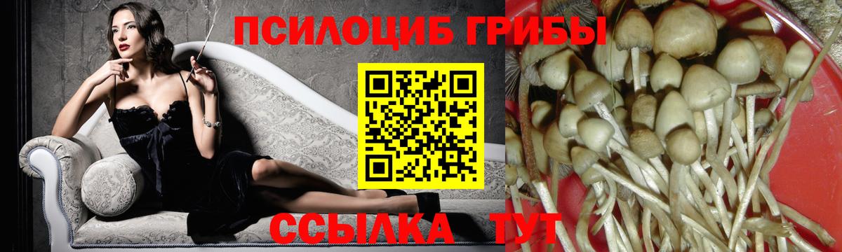 Коркино  Псилоцибиновые грибы Psilocybine cubensis  купить  сайты  Вход с VPN 